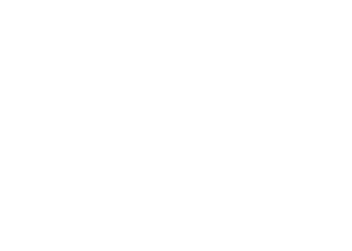 logo-light